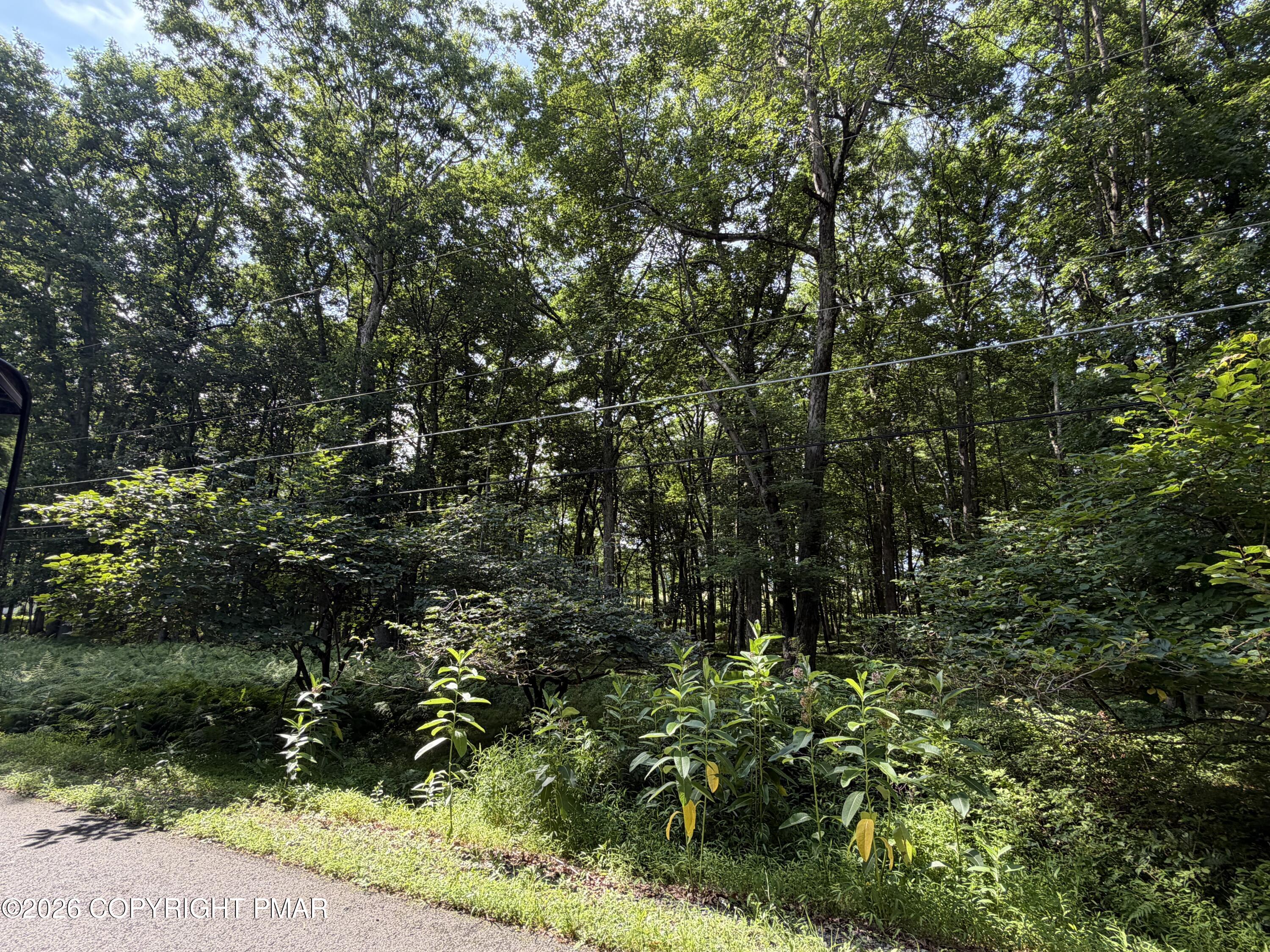 Lot 139lan Willow Drive Property Photo 1
