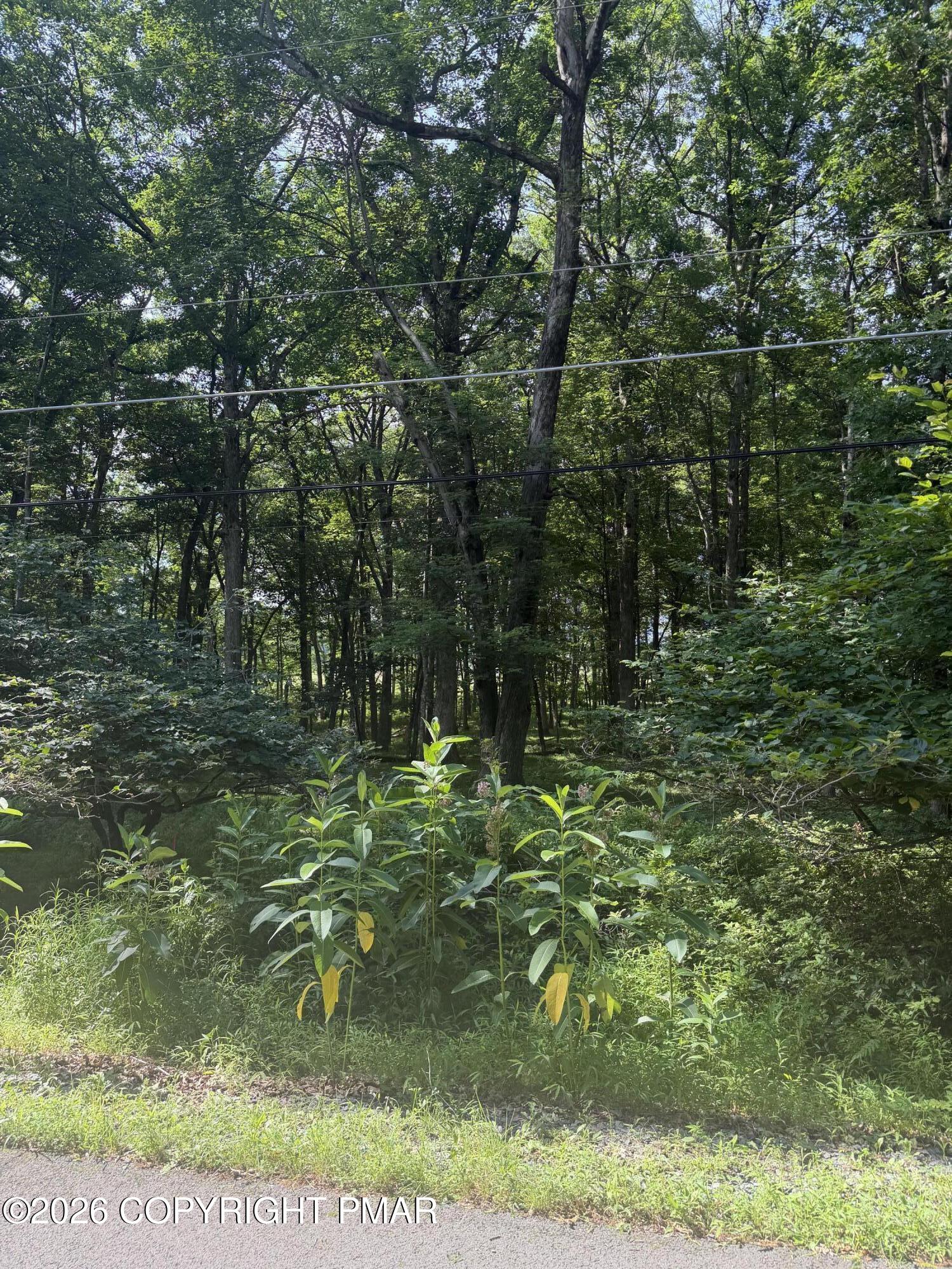 Lot 139lan Willow Drive Property Photo 2