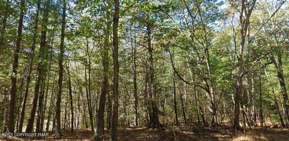 Lr 45019 Property Photo 3