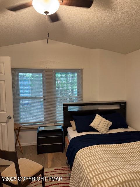 7 Gooseberry Drive Property Photo 22