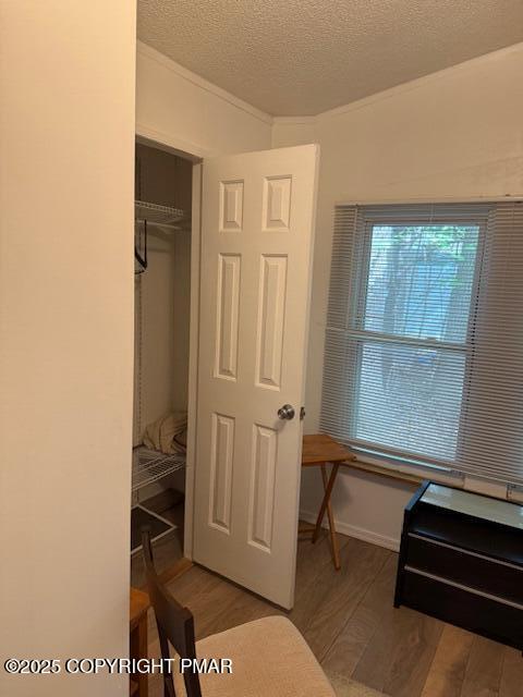 7 Gooseberry Drive Property Photo 23