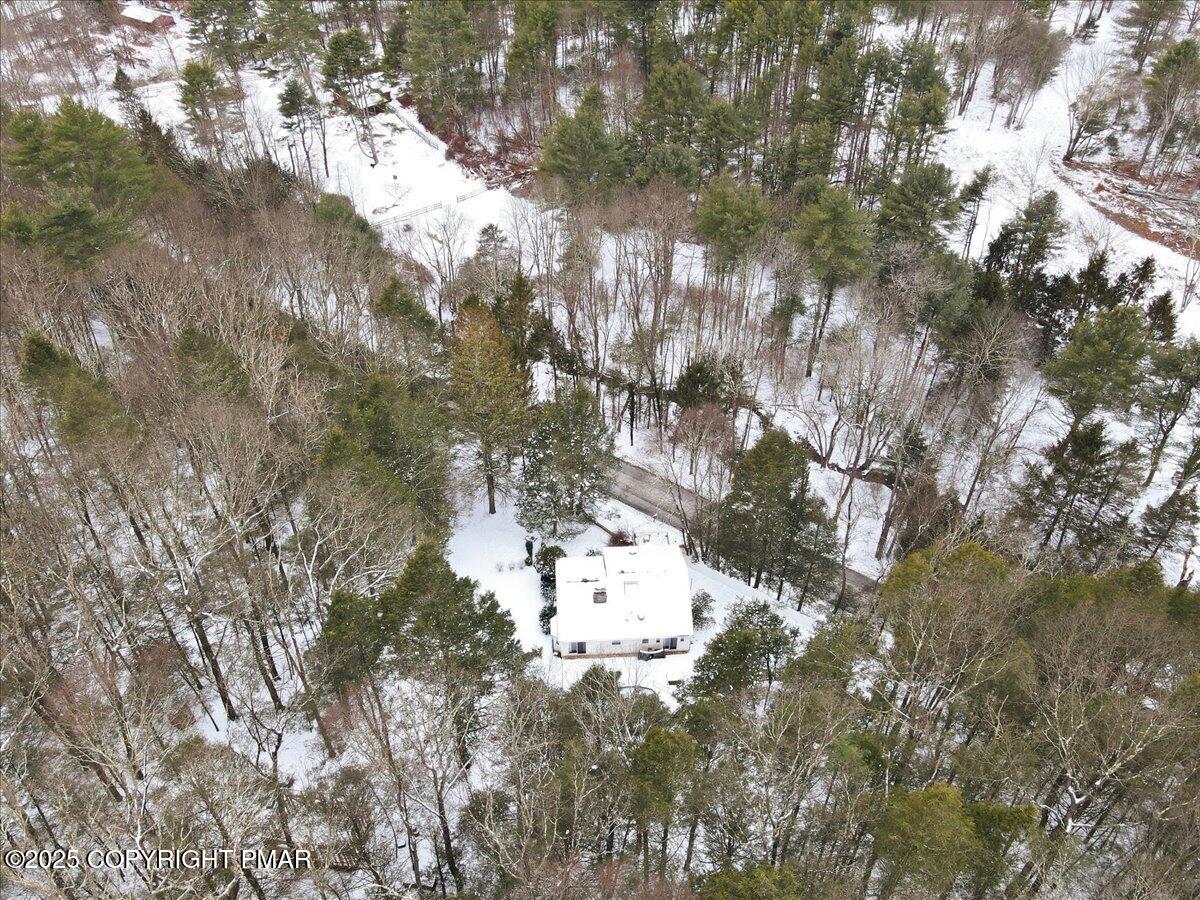 172 Evergreen Hollow Road Property Photo 65