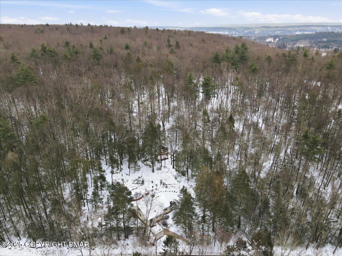172 Evergreen Hollow Road Property Photo 68