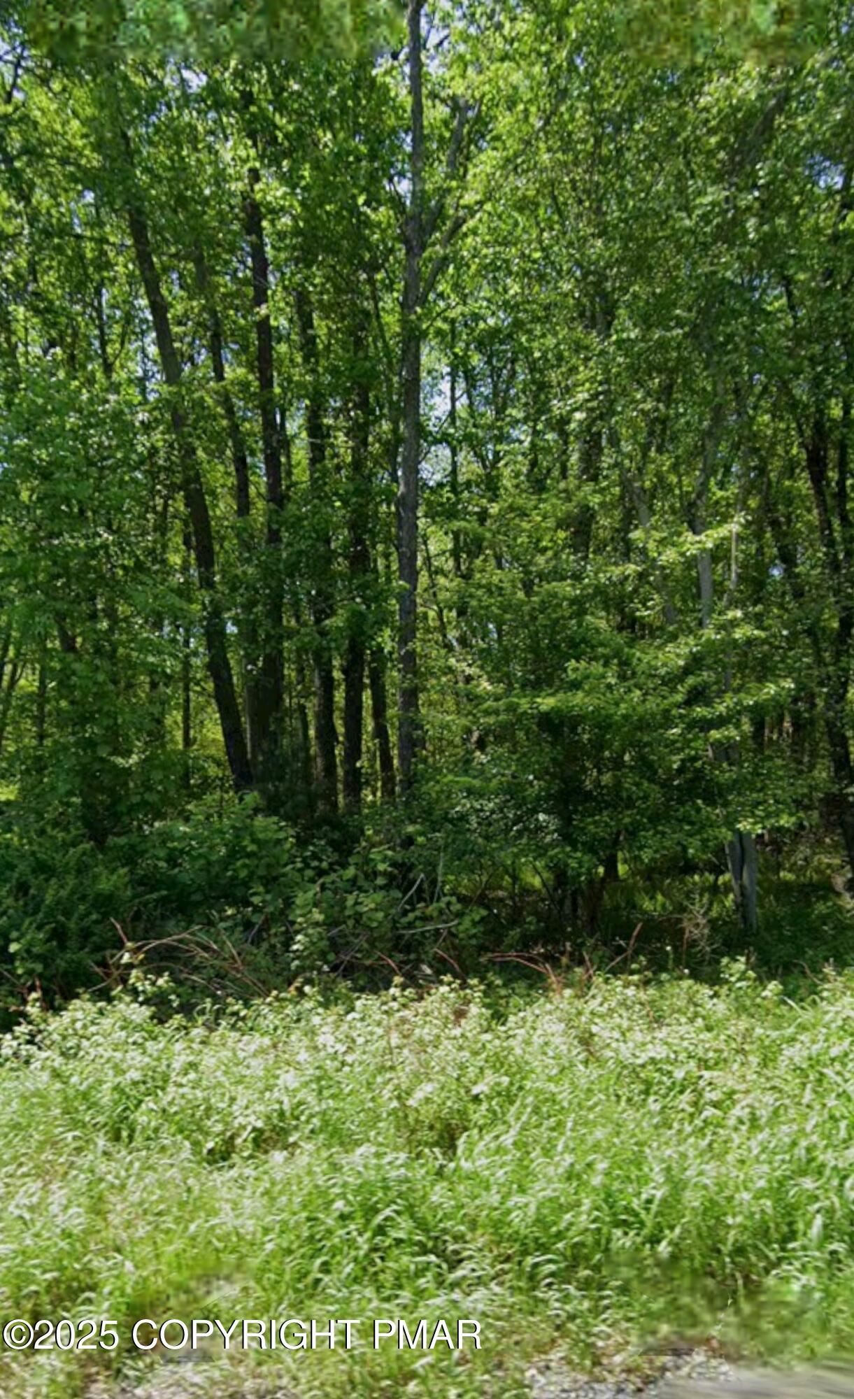 Lr 45089 (main St) Property Photo 6