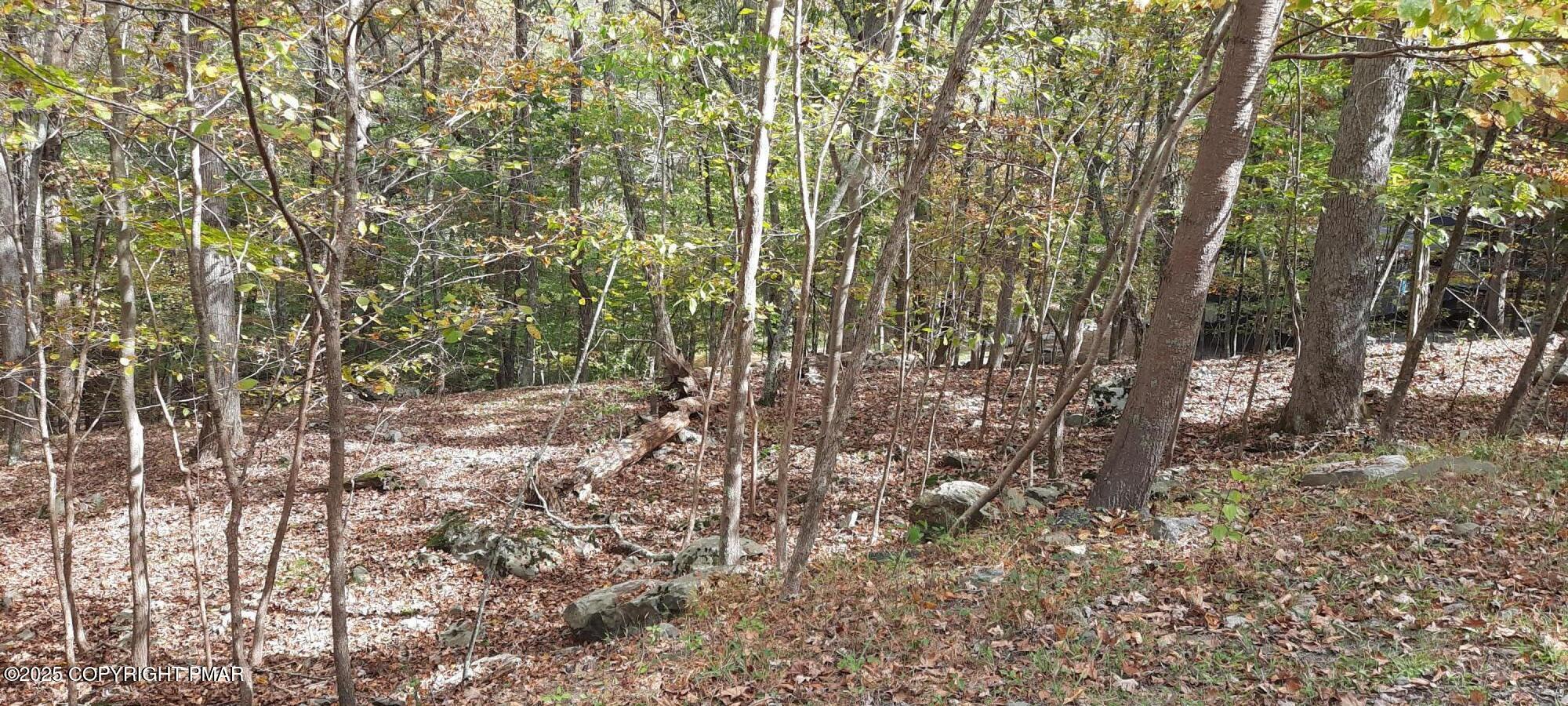 Lot 8 Sec 24 Decker Road Property Photo 1