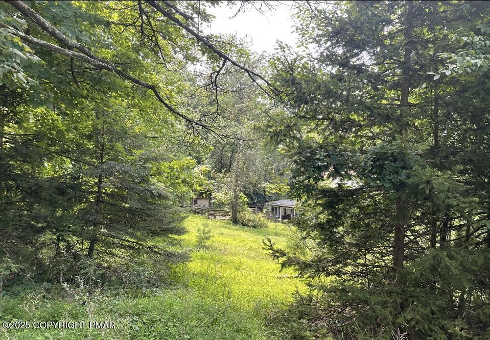 410 Hunters Farm Road Property Photo 6