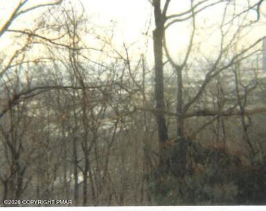 00 Main Street Property Photo 5