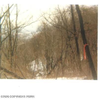 00 Main Street Property Photo 6