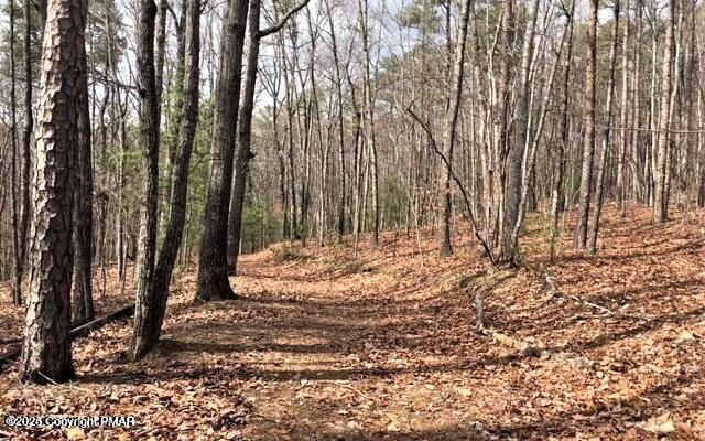407 Pinetree Road Property Photo 1