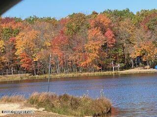 407 Sassafras Road Property Photo 11
