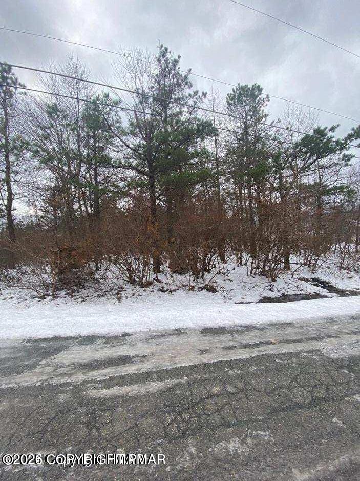 407 Sassafras Road Property Photo 14