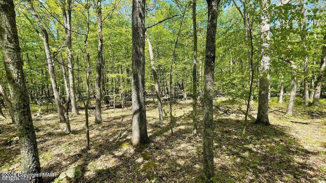 3144l Spring Court Property Photo 12