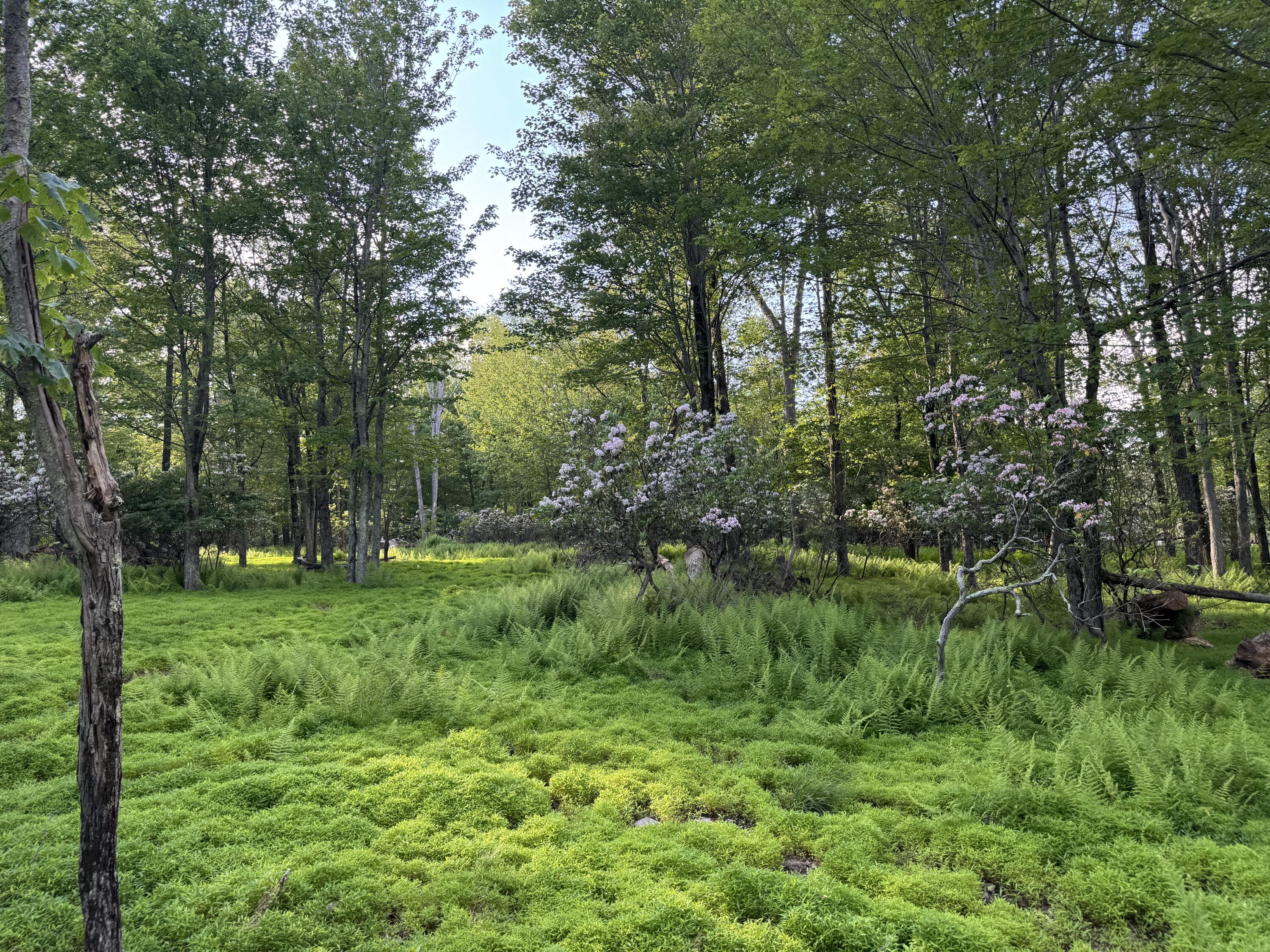 Lot 10 Twilight Dr Drive Property Photo 3