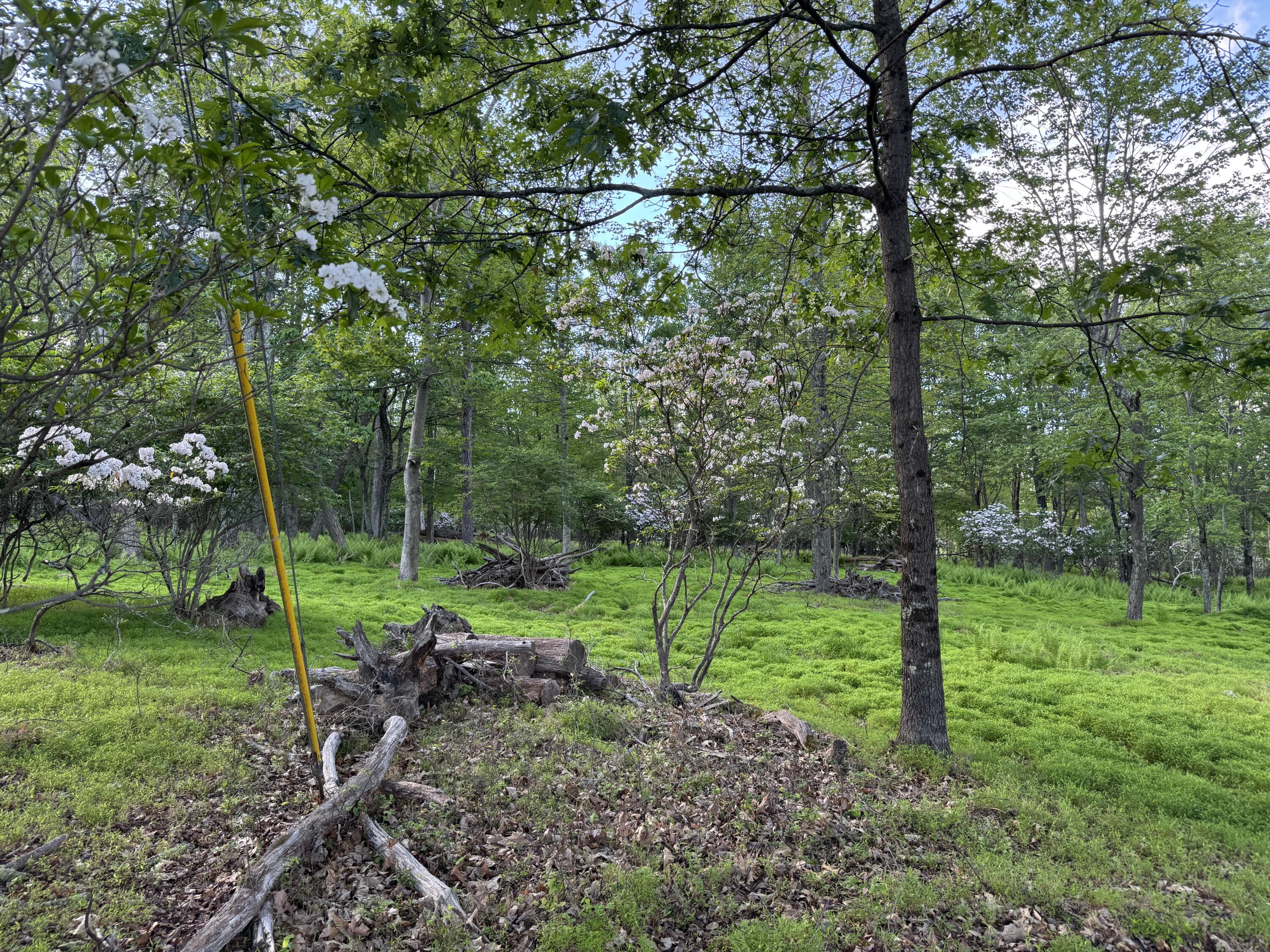 Lot 10 Twilight Dr Drive Property Photo 5