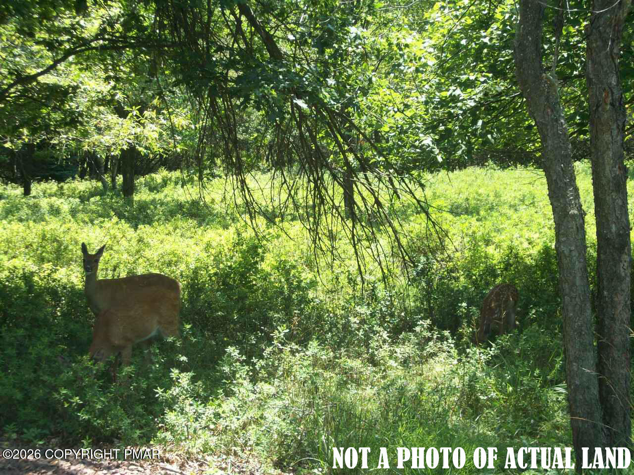 Cp1082 Meckesville Road Property Photo 1