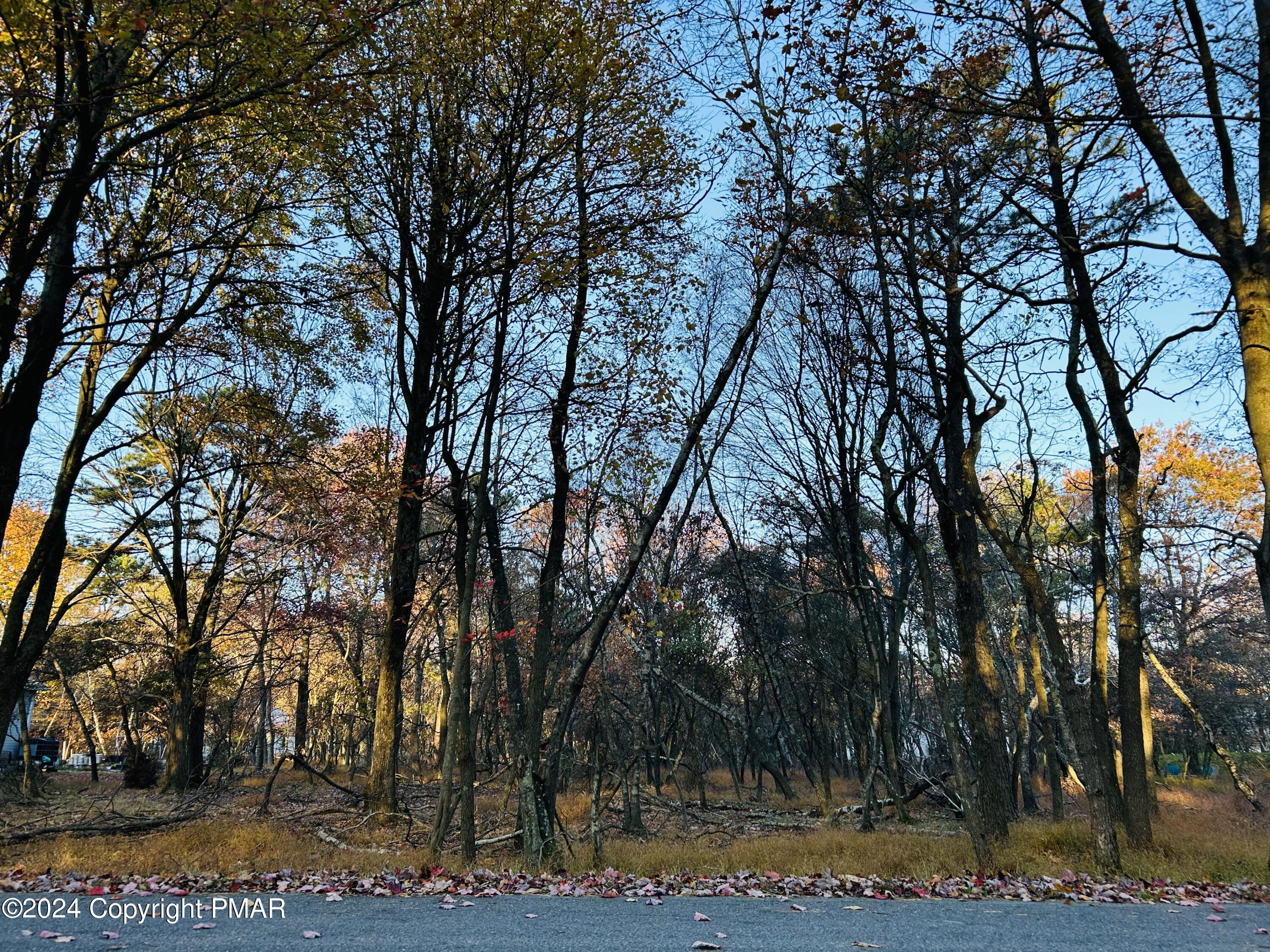 1807 Penn Forest Drive Property Photo 1
