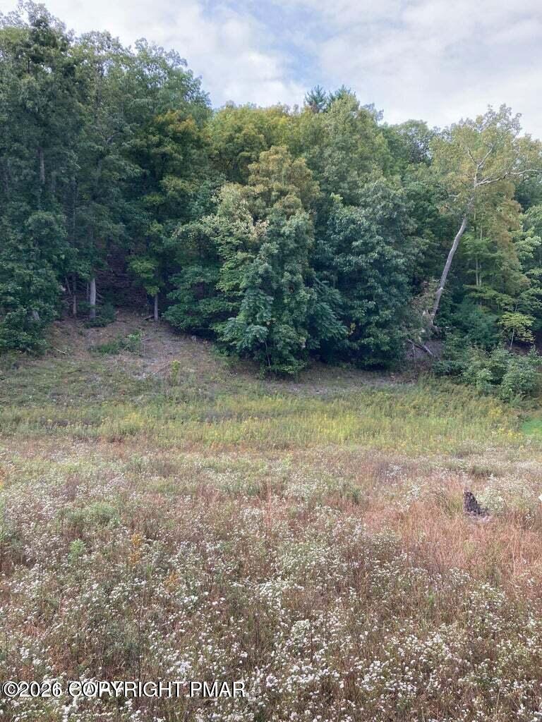 Lot 67 Highland Avenue Property Photo 1