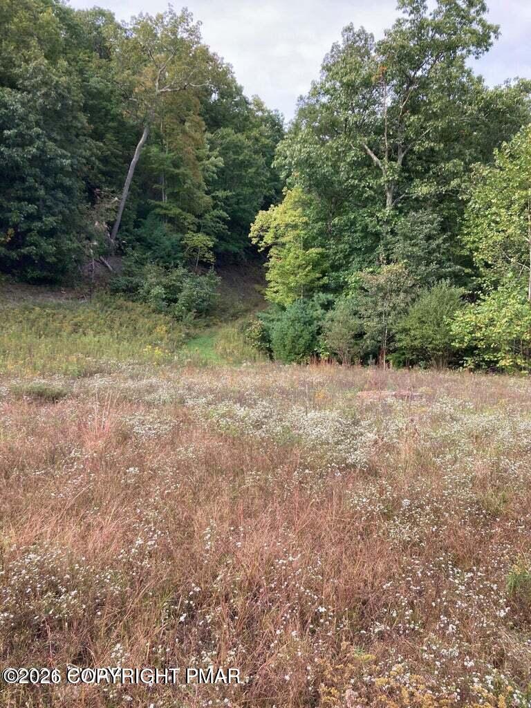 Lot 67 Highland Avenue Property Photo 2