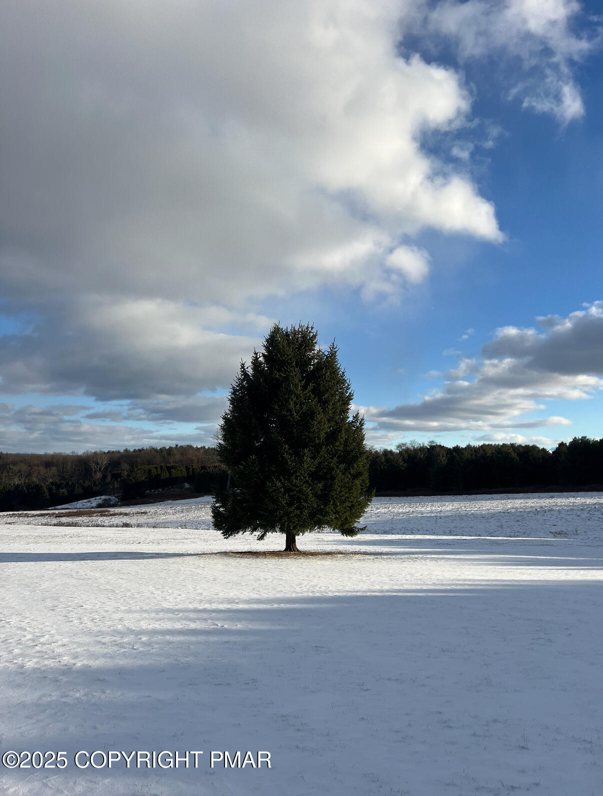 1212 Burger Hollow Road Property Photo 15