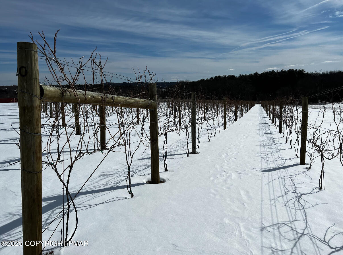 1212 Burger Hollow Road Property Photo 130