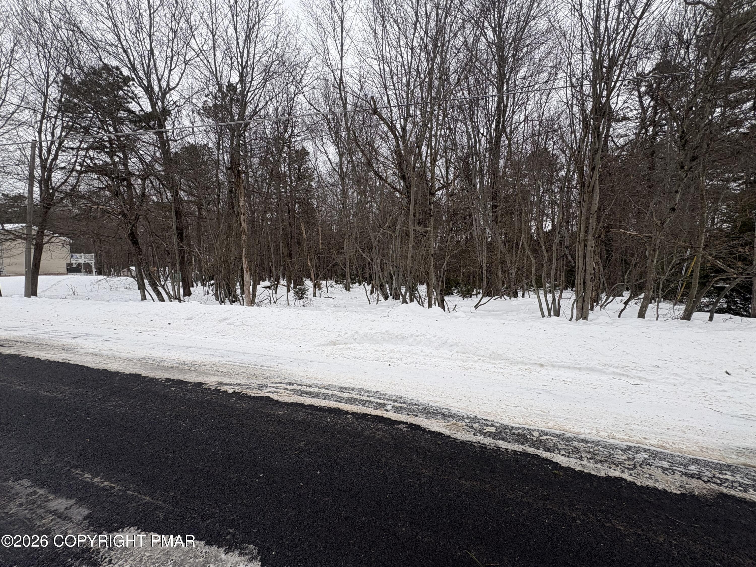 Pine Tree Rd 824 Road Property Photo 2