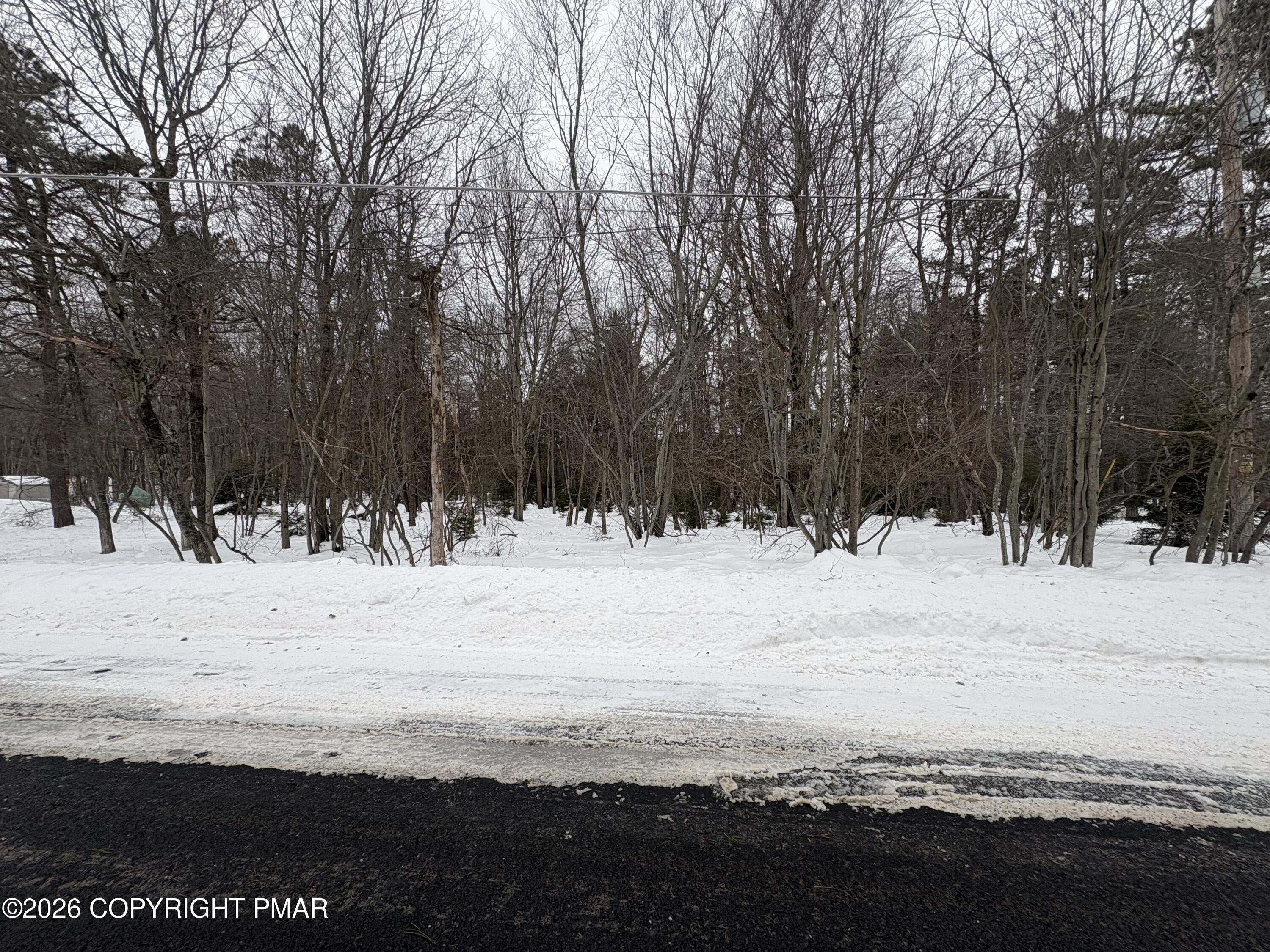 Pine Tree Rd 824 Road Property Photo 4