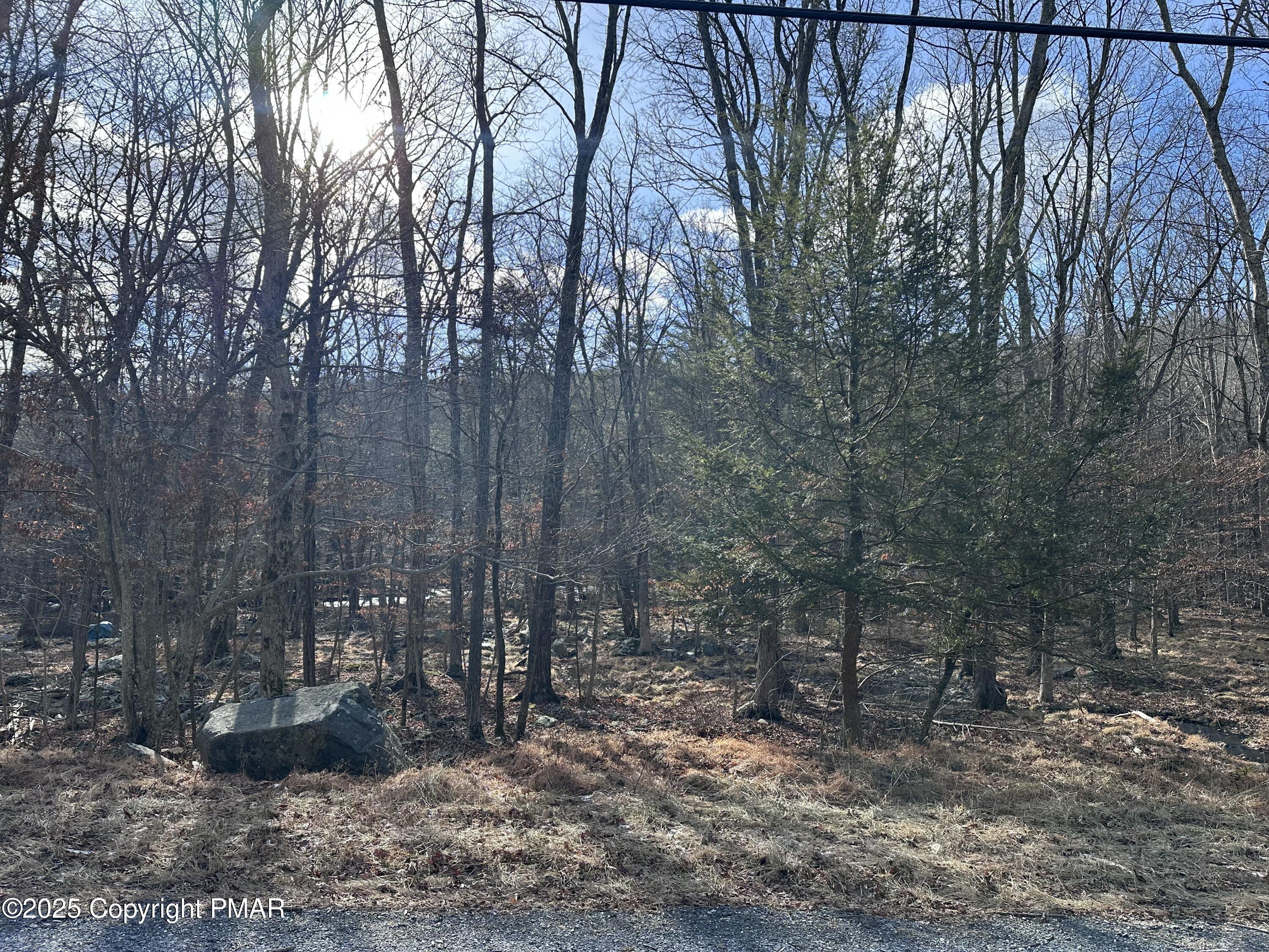 Lot 736 Decker Road Property Photo 2