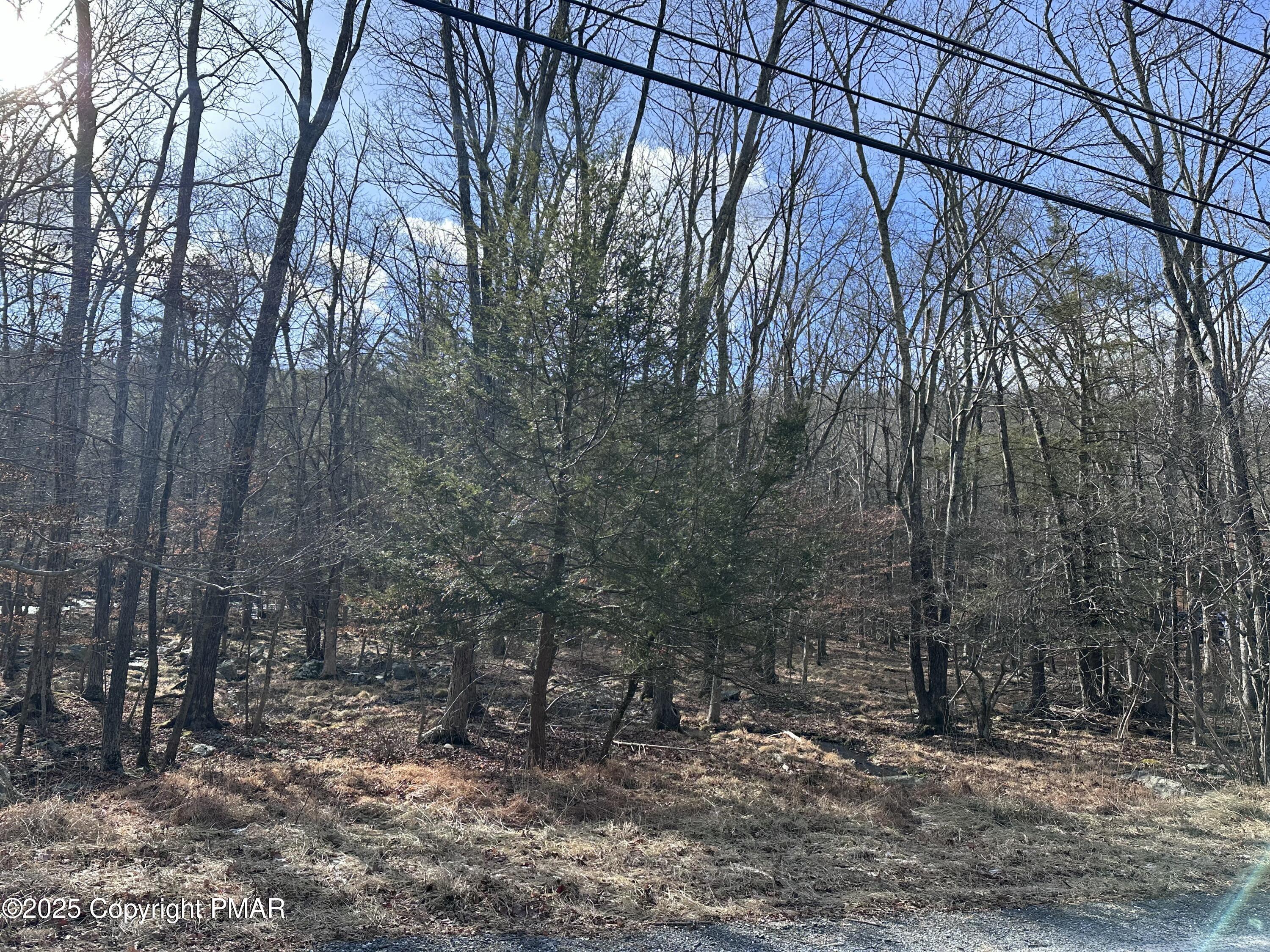 Lot 736 Decker Road Property Photo 4