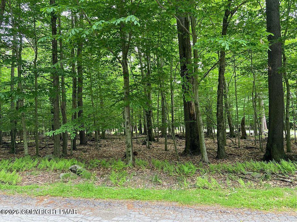 33 Cheyenne Trail Property Photo 9