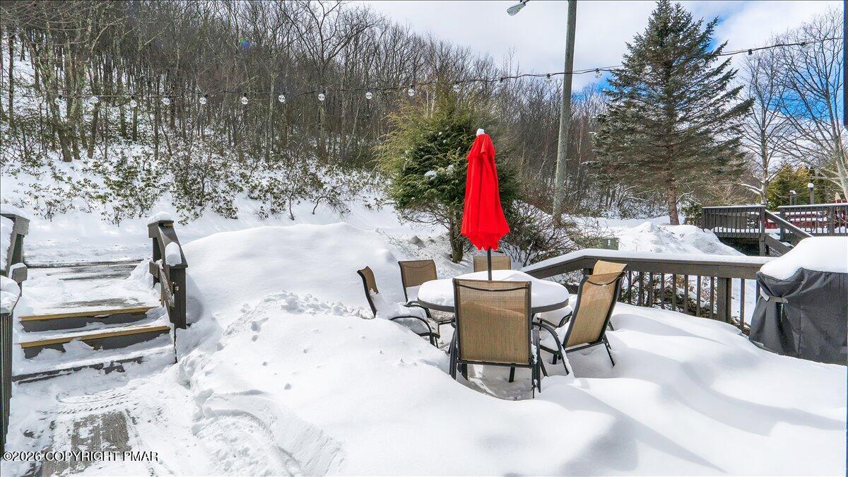 270 Big Pocono Pass Property Photo 43