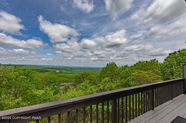 270 Big Pocono Pass Property Photo 48