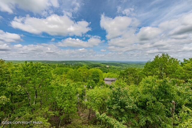 270 Big Pocono Pass Property Photo 51