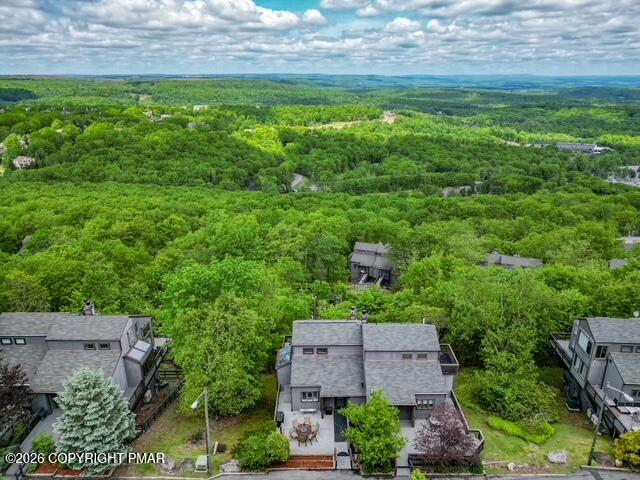 270 Big Pocono Pass Property Photo 54