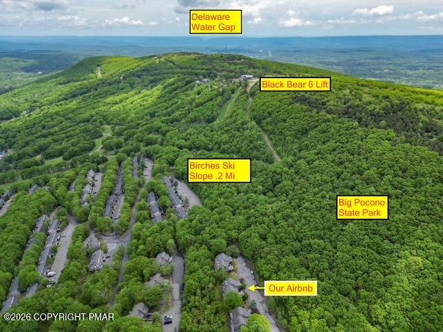 270 Big Pocono Pass Property Photo 55