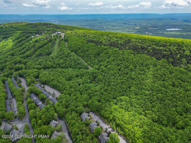 270 Big Pocono Pass Property Photo 56