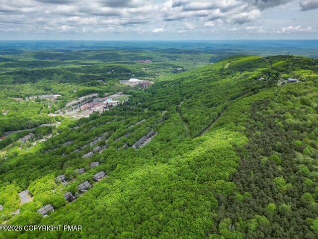 270 Big Pocono Pass Property Photo 57