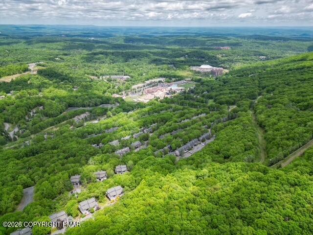 270 Big Pocono Pass Property Photo 58