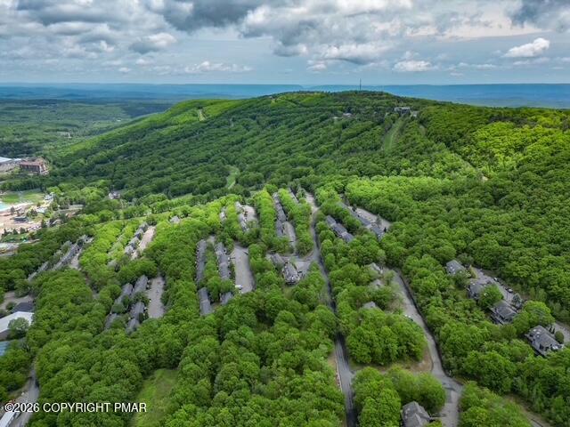 270 Big Pocono Pass Property Photo 59