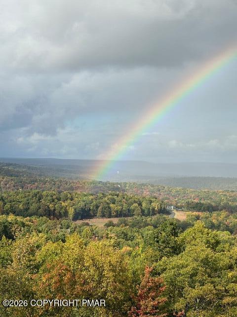 270 Big Pocono Pass Property Photo 60