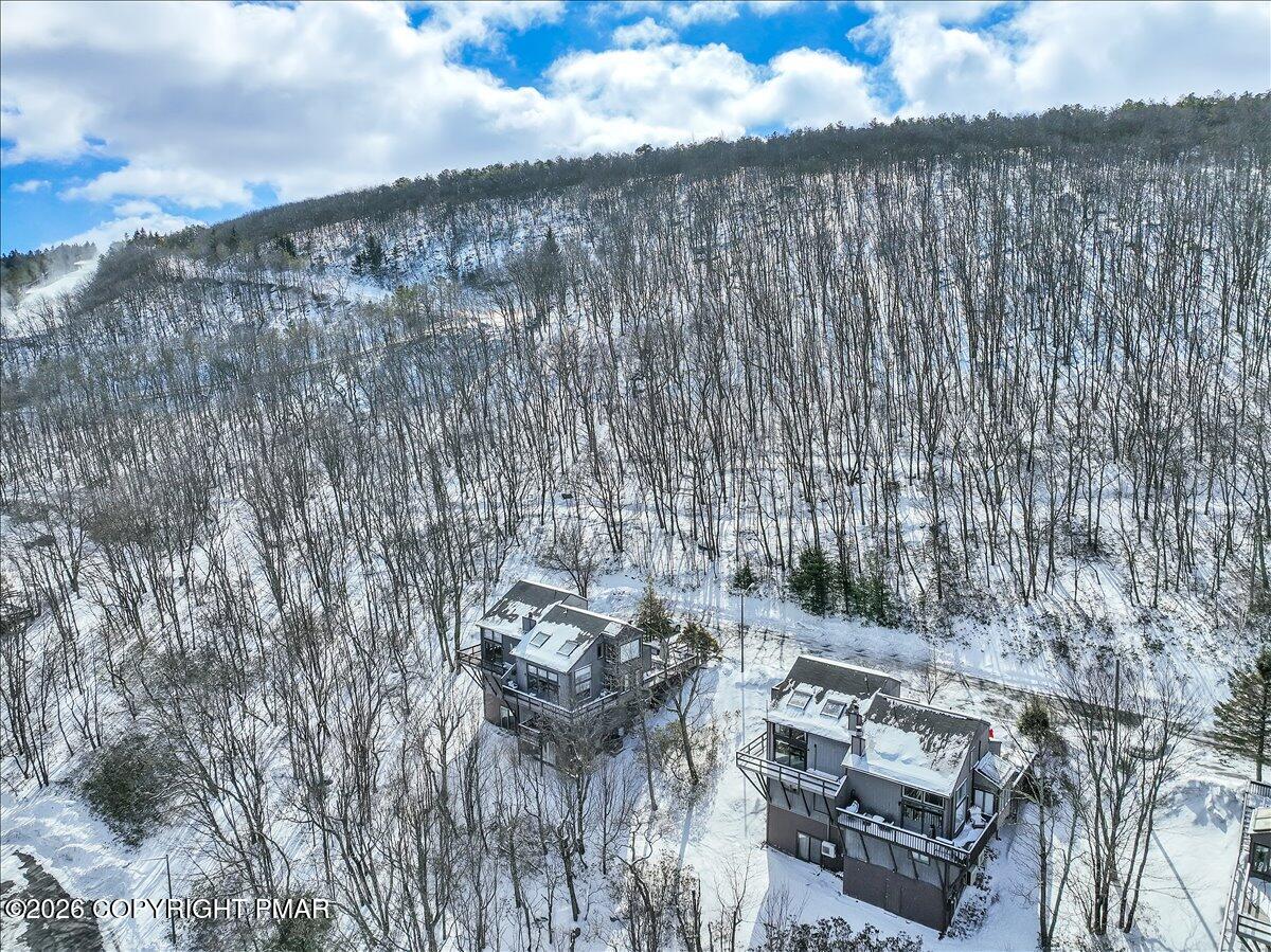 270 Big Pocono Pass Property Photo 86