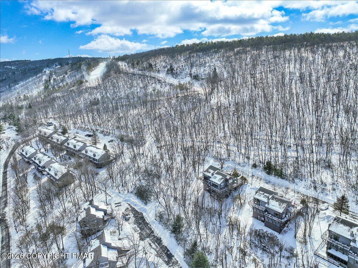270 Big Pocono Pass Property Photo 87