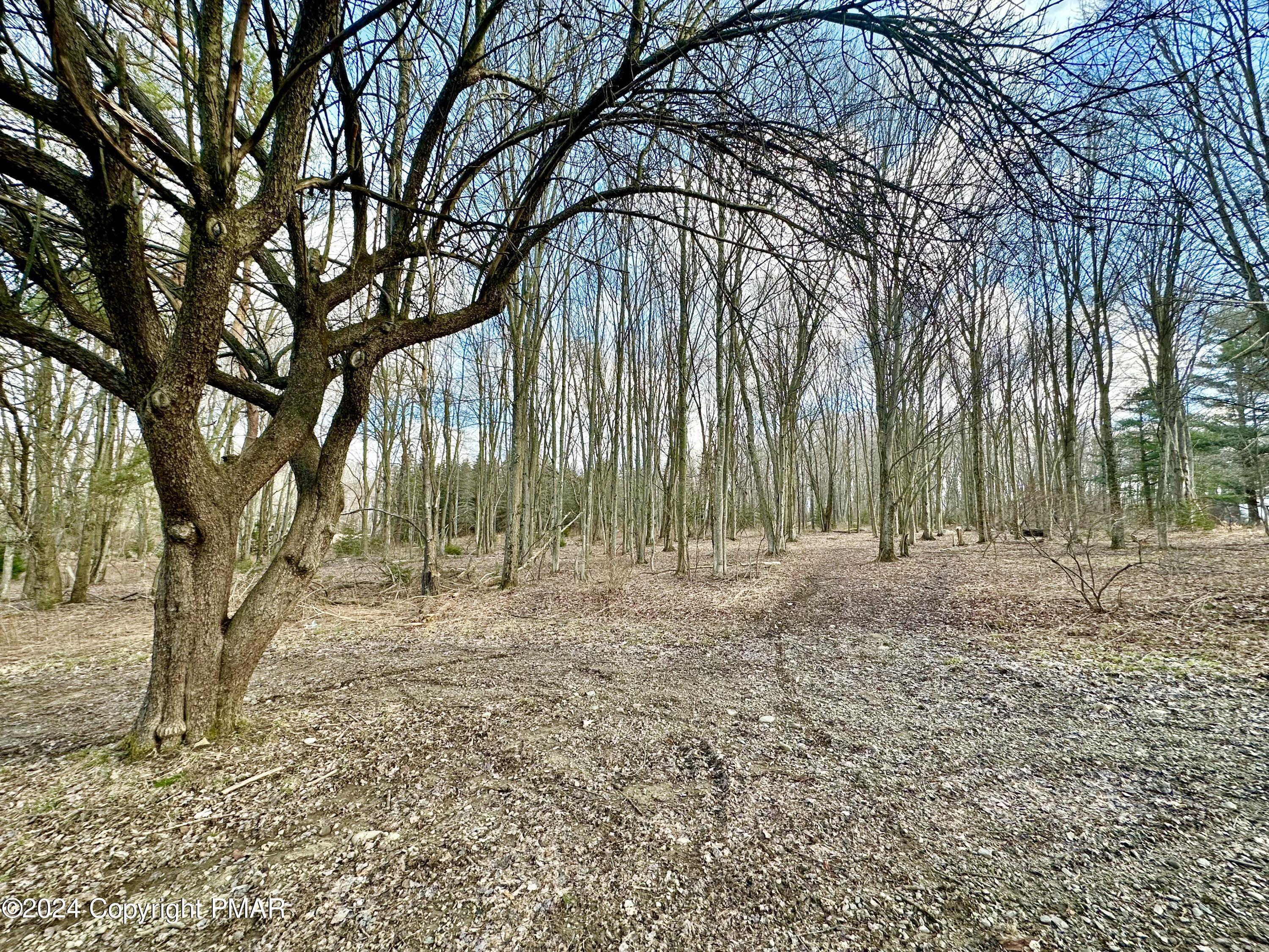 Lot 54 Stems Way Property Photo 2