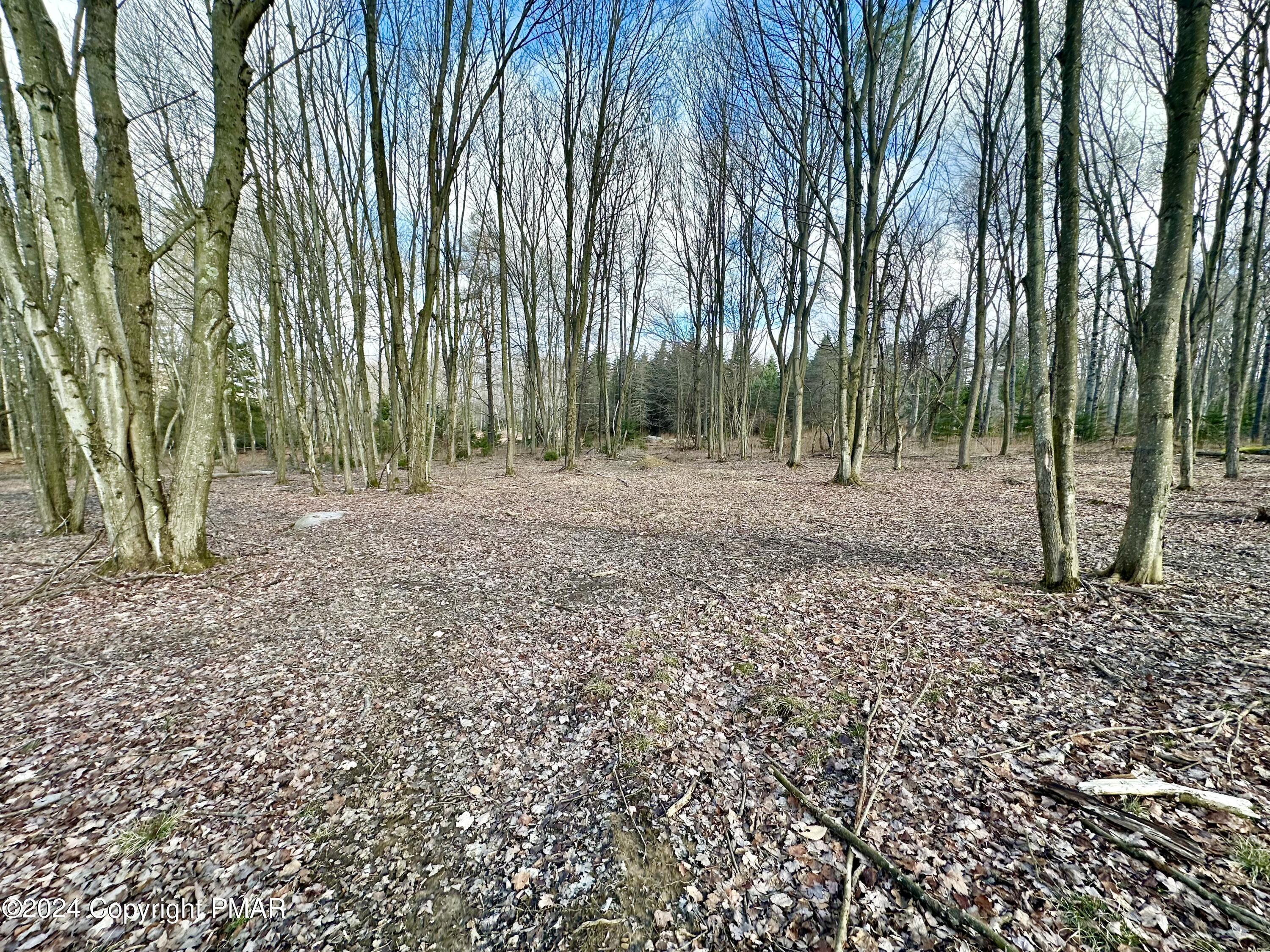 Lot 54 Stems Way Property Photo 3