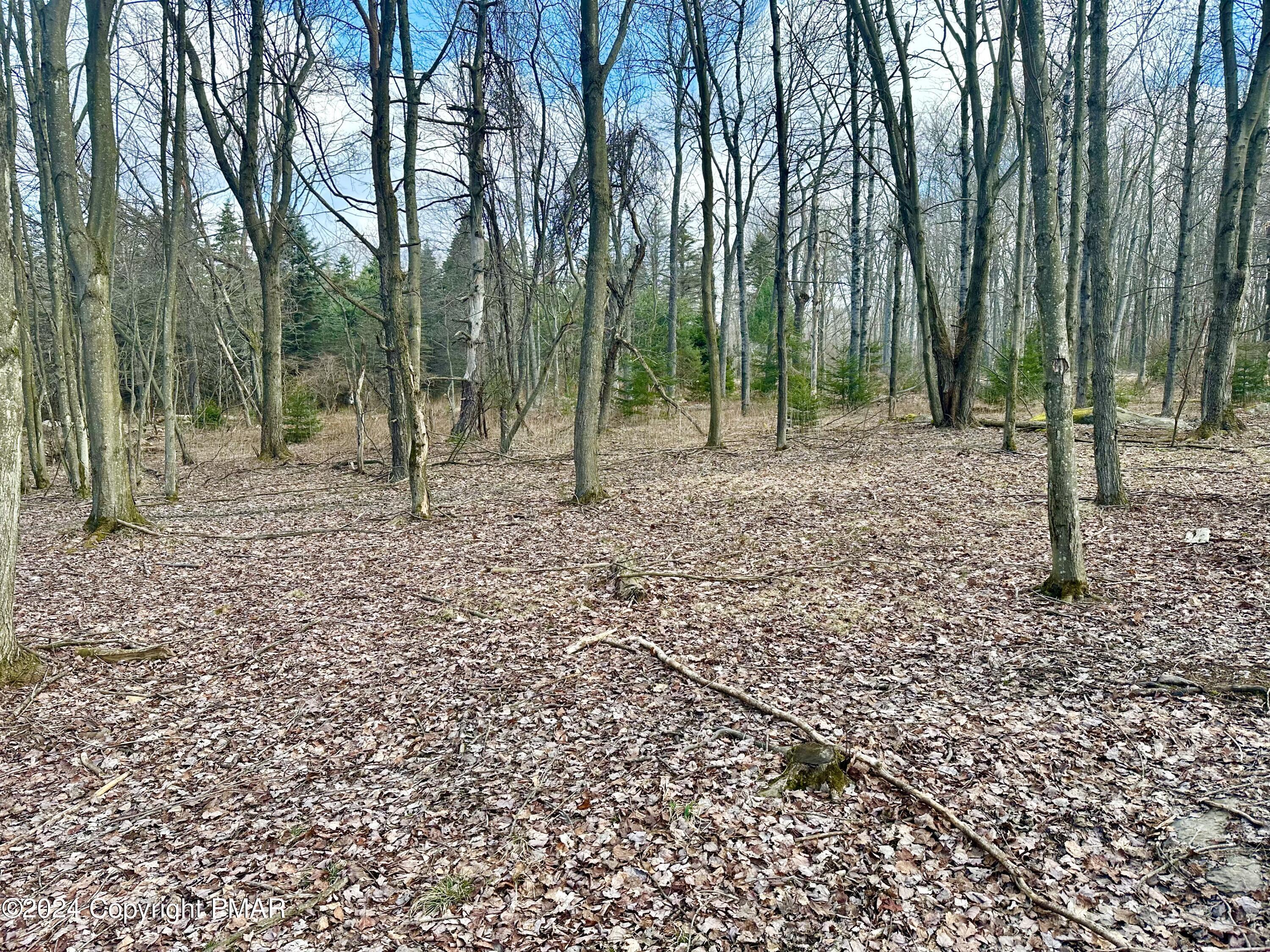 Lot 54 Stems Way Property Photo 5