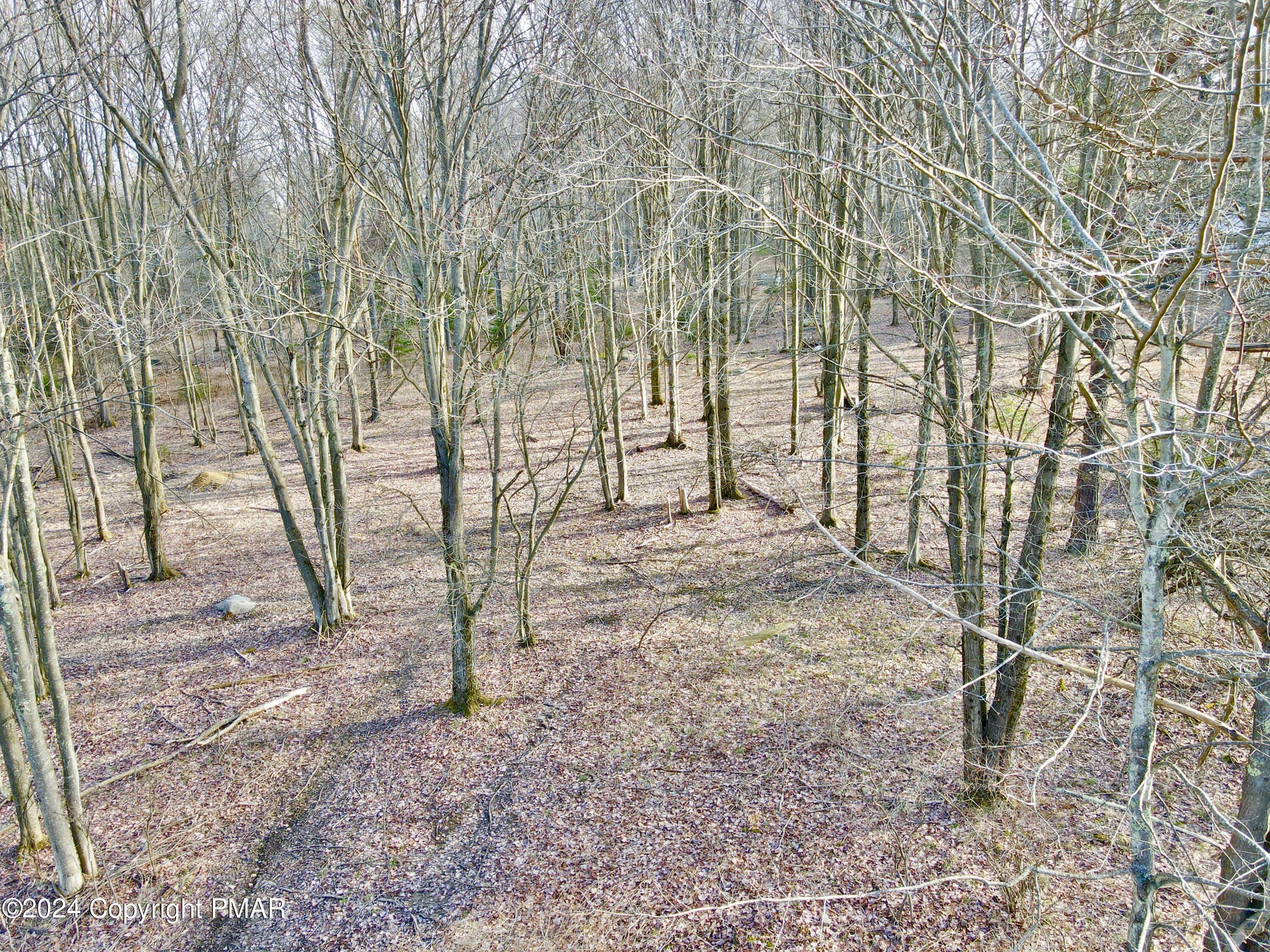 Lot 54 Stems Way Property Photo 6