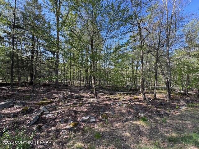 39 Diamond Court Property Photo 1