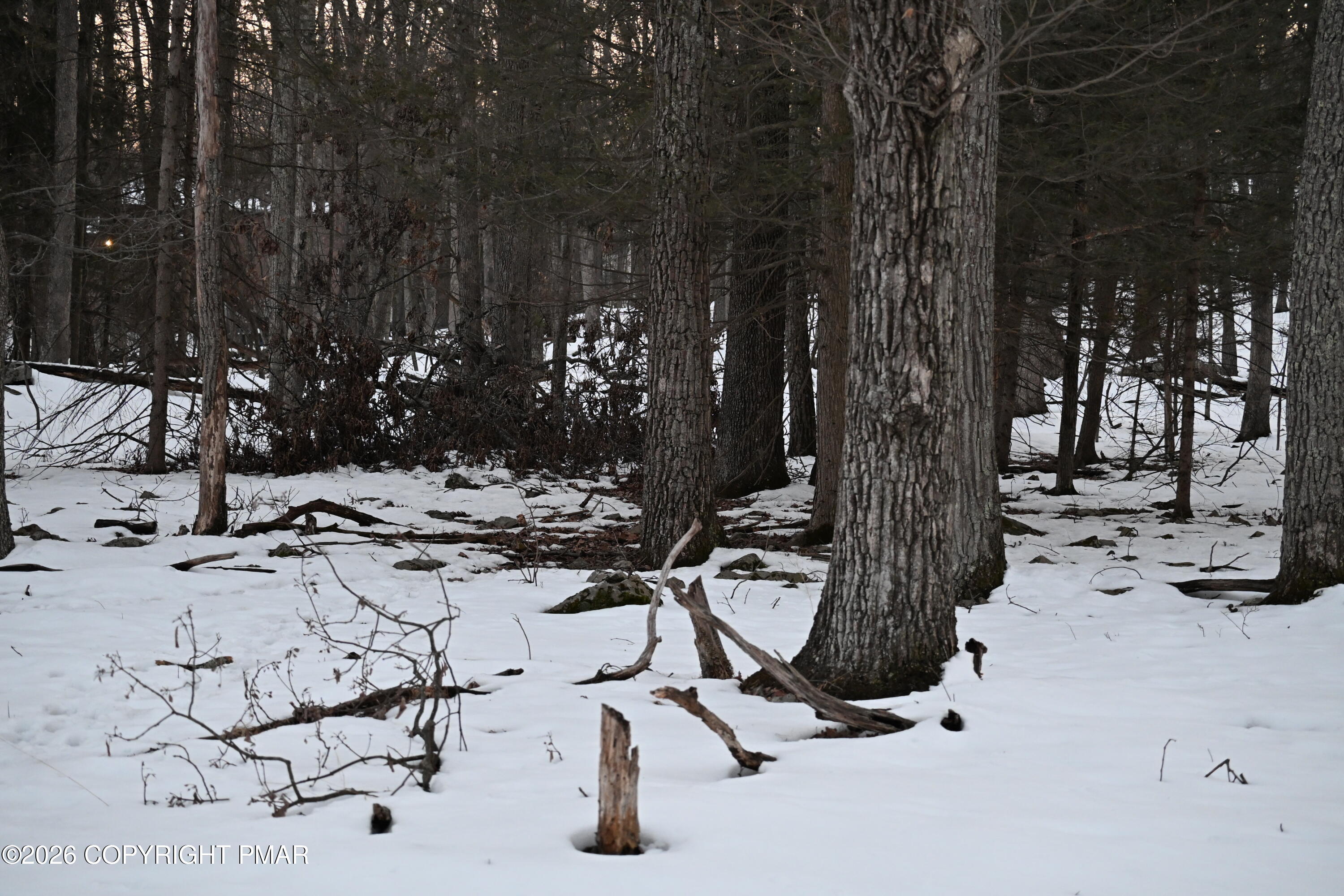 1121 Broken Ski Road Property Photo 1