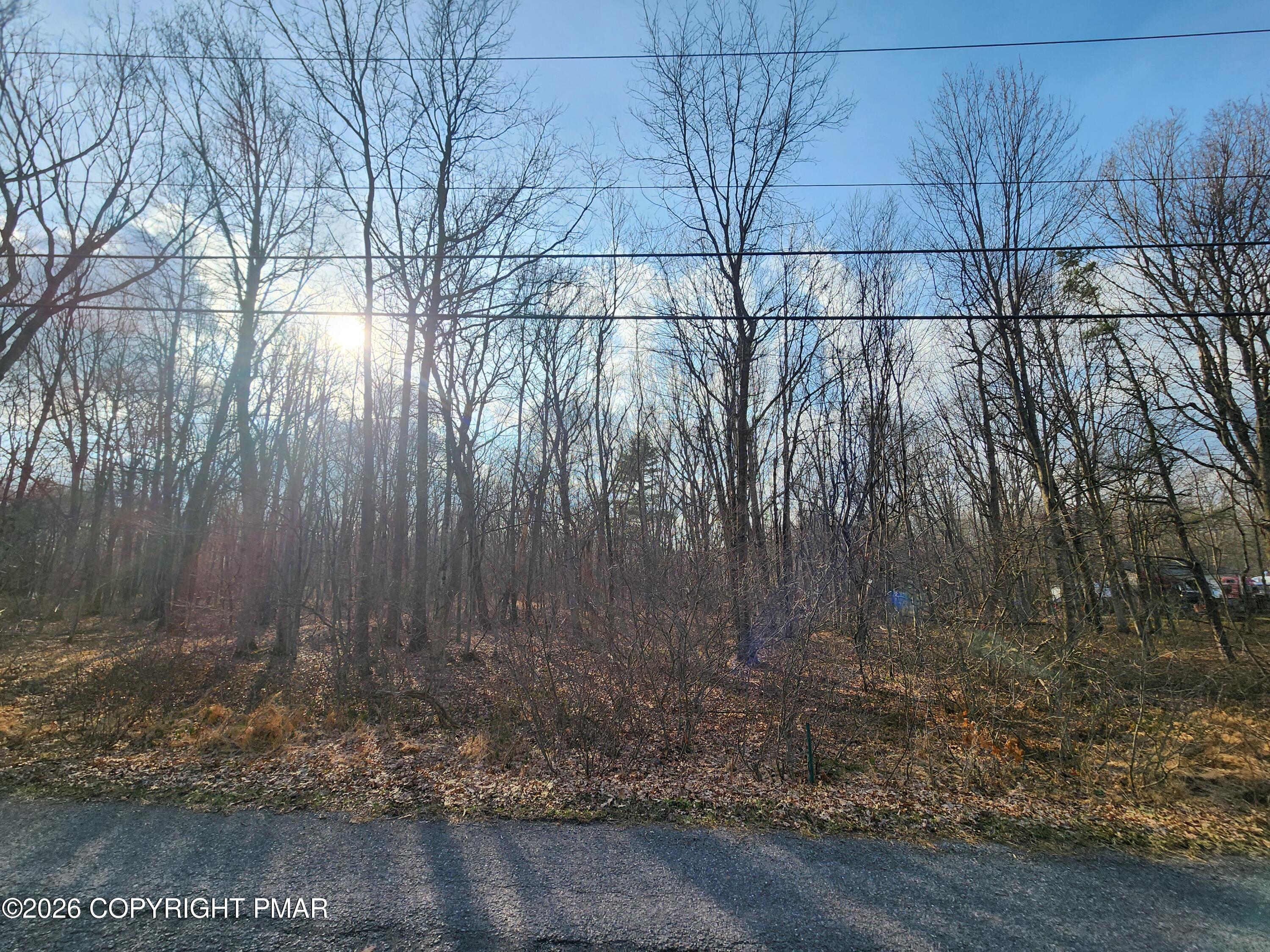 Lot G489 Panther Run Road Property Photo 1