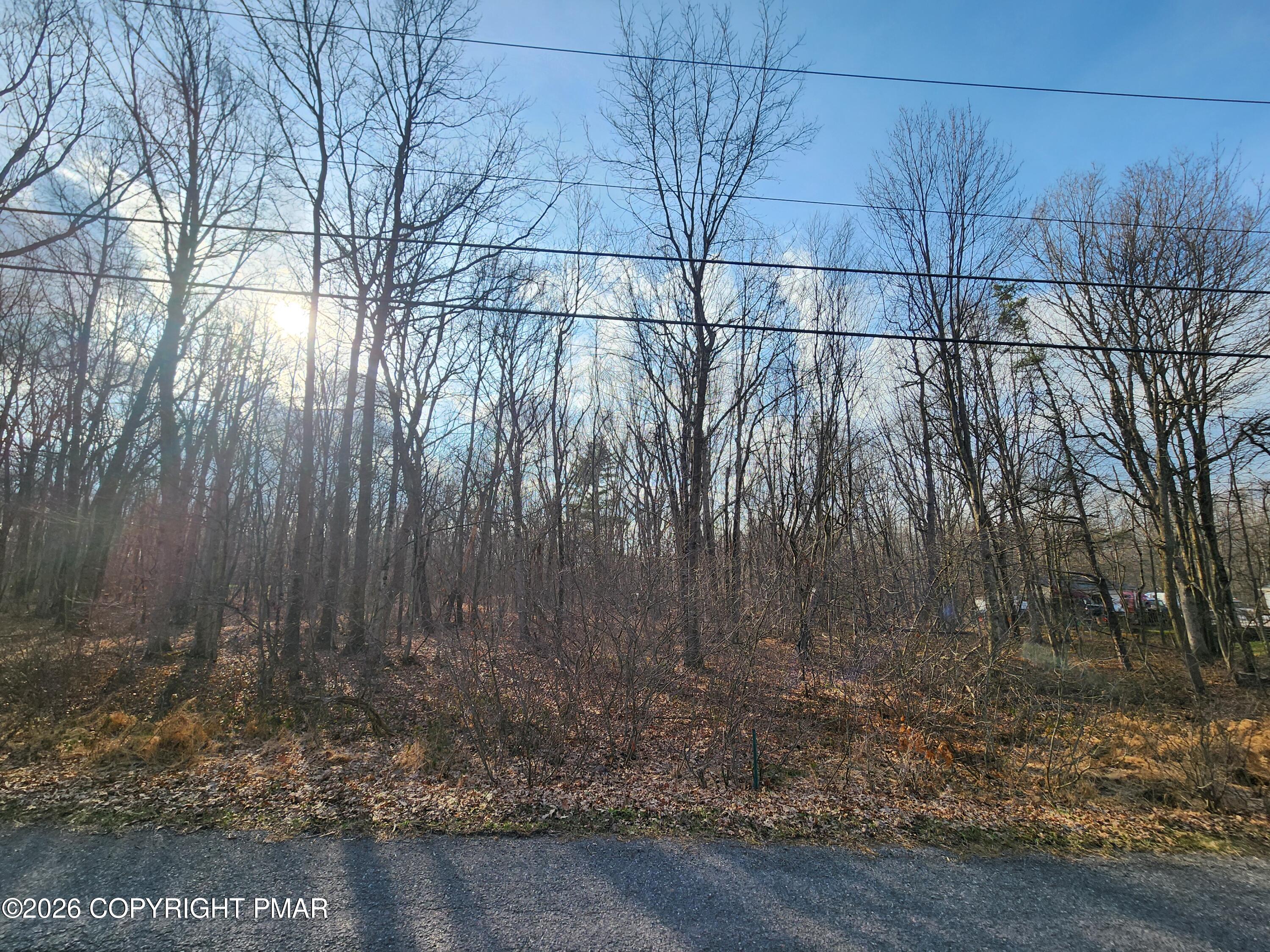 Lot G489 Panther Run Road Property Photo 5