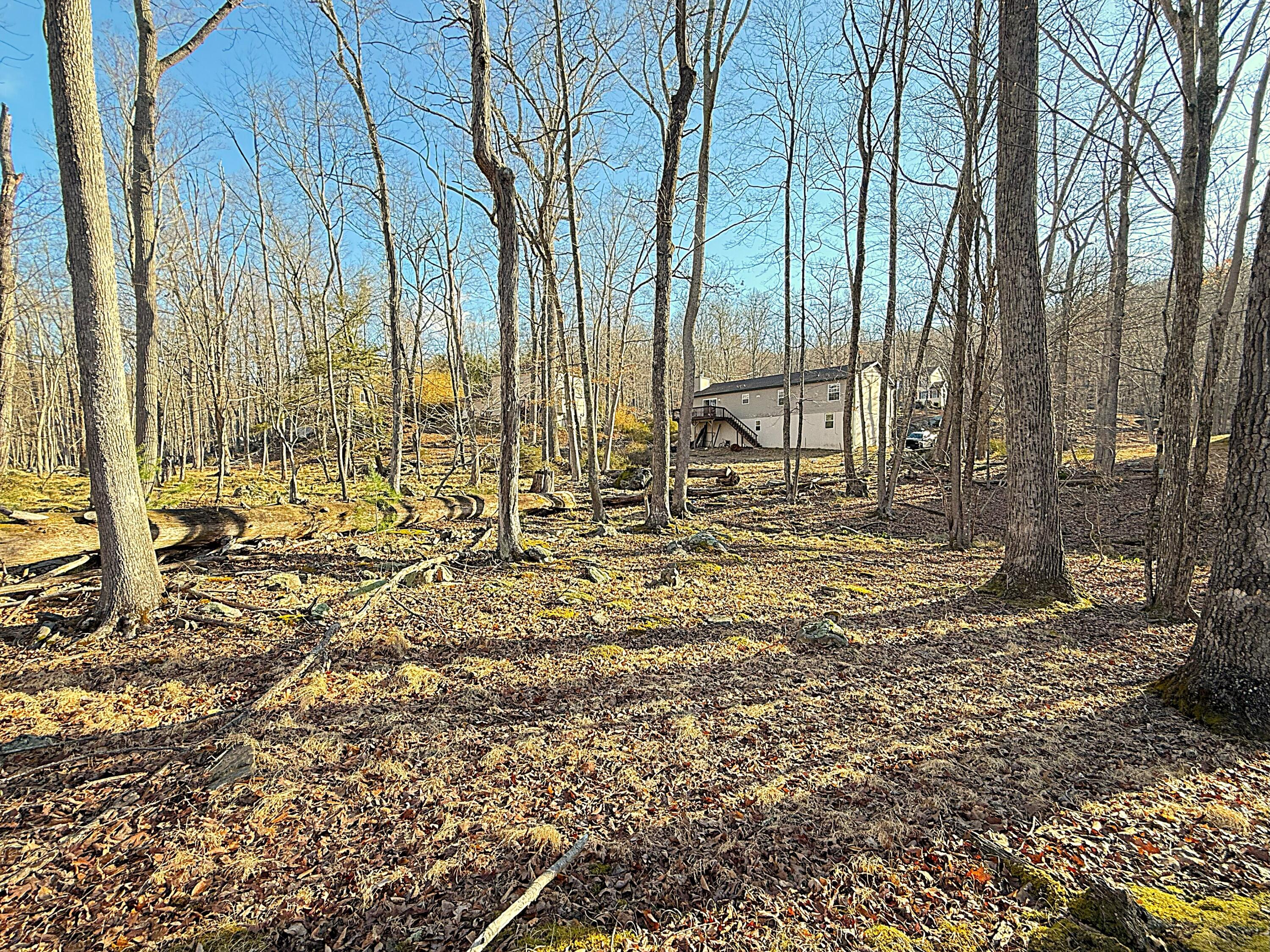 6486 Decker Road Property Photo 31